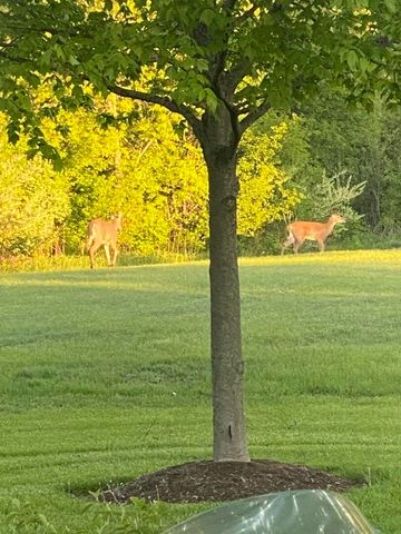 822 Waters Edge Drive, South Elgin, IL 60177