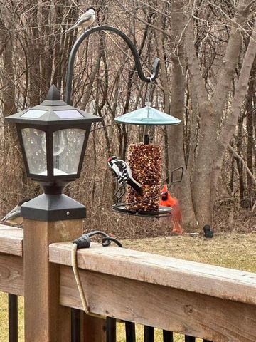 822 Waters Edge Drive, South Elgin, IL 60177