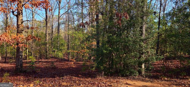 0 White Owl Drive, Elberton, GA 30635