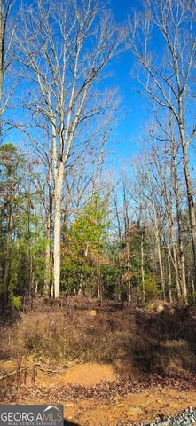 0 White Owl Drive, Elberton, GA 30635