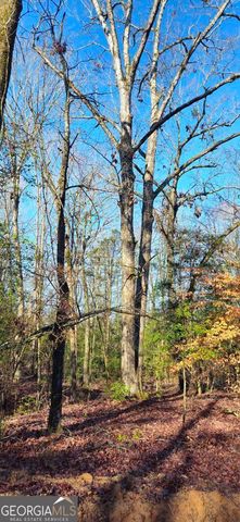 0 White Owl Drive, Elberton, GA 30635