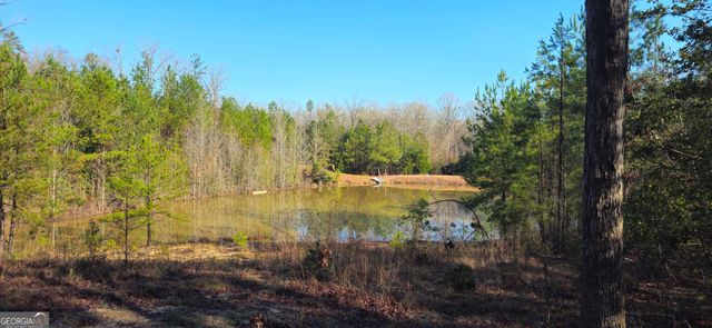 0 White Owl Drive, Elberton, GA 30635