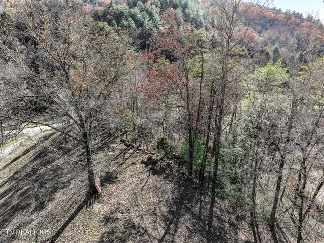 463 Lovers Lane, Townsend, TN 37882