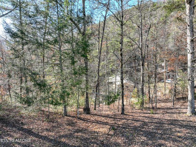 463 Lovers Lane, Townsend, TN 37882