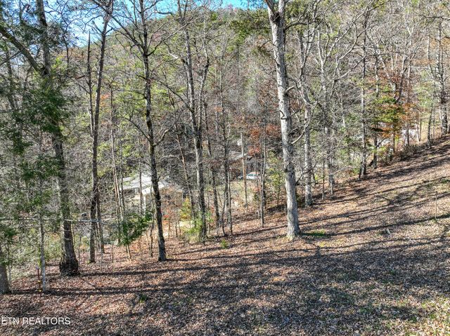 463 Lovers Lane, Townsend, TN 37882
