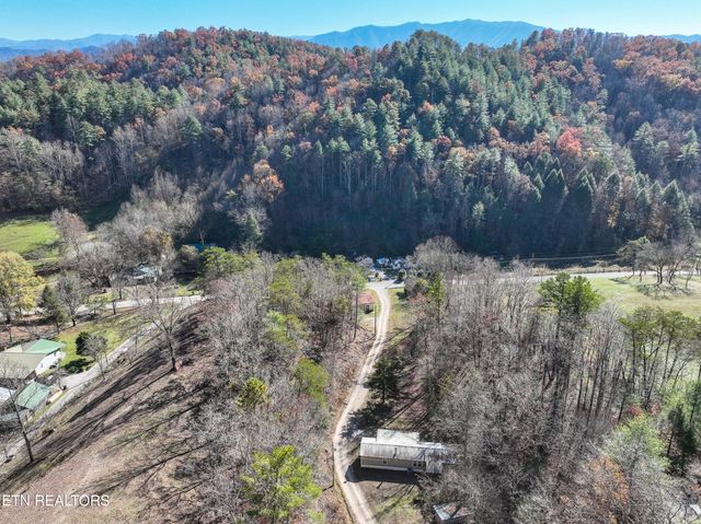 463 Lovers Lane, Townsend, TN 37882
