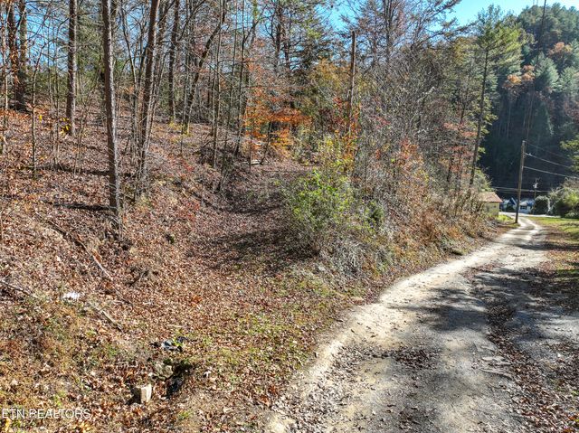 463 Lovers Lane, Townsend, TN 37882