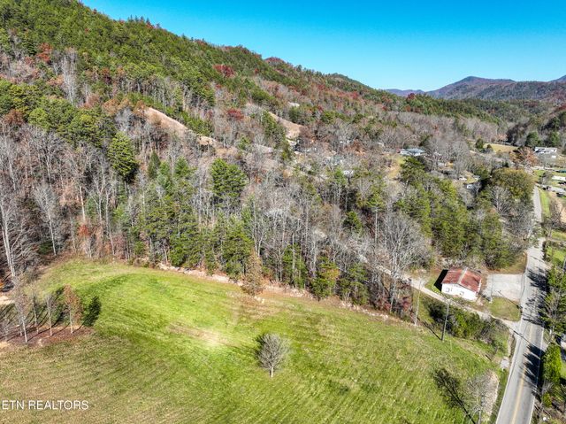 463 Lovers Lane, Townsend, TN 37882