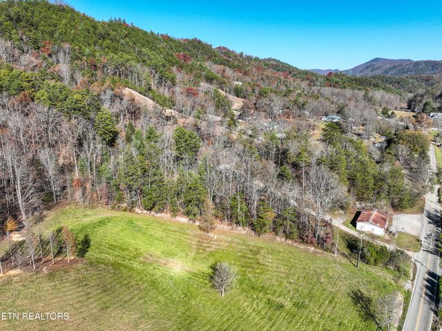 463 Lovers Lane, Townsend, TN 37882