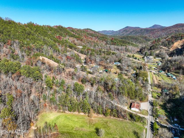 463 Lovers Lane, Townsend, TN 37882