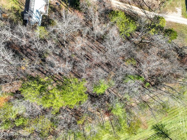 463 Lovers Lane, Townsend, TN 37882