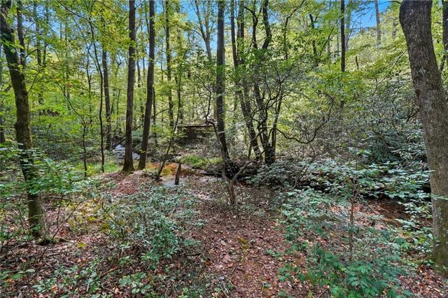 257 Foothills Dr, Cleveland, GA 30528