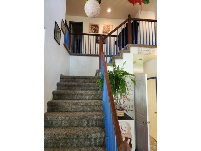 1924 Pacific Ct, Fort Collins, CO 80528