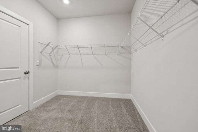 121 SCENTED ROSE WAY, Winchester, VA 22602