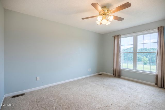 1230 Bowmantown Road, Limestone, TN 37681