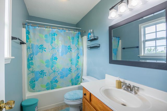 1230 Bowmantown Road, Limestone, TN 37681