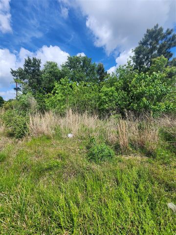 1117 County Road 3556, Cleveland, TX 77327