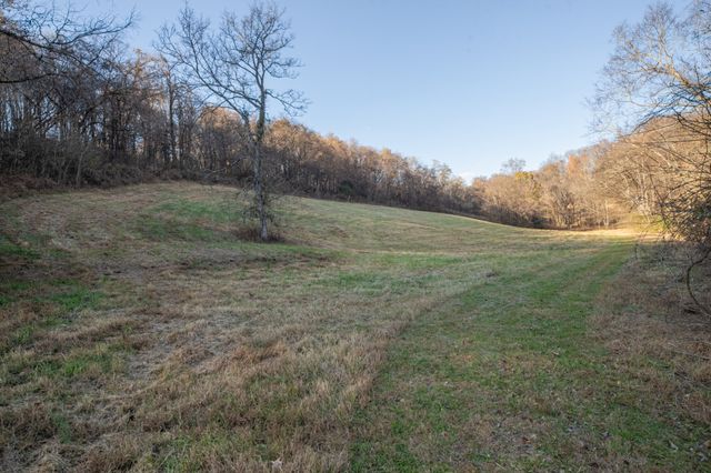 2031 Creecy Hollow Rd, Pulaski, TN 38478