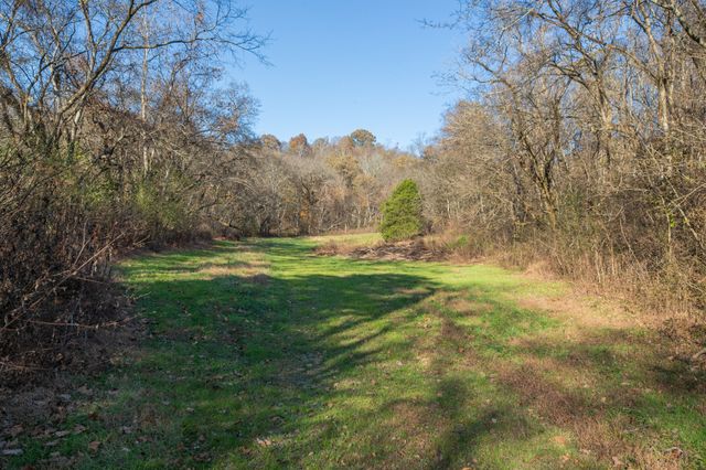 2031 Creecy Hollow Rd, Pulaski, TN 38478