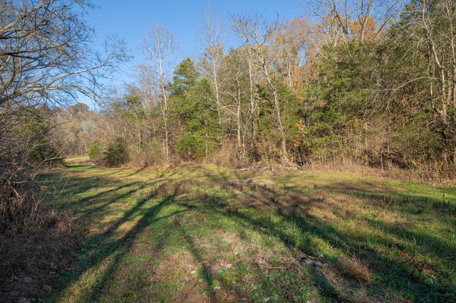 2031 Creecy Hollow Rd, Pulaski, TN 38478