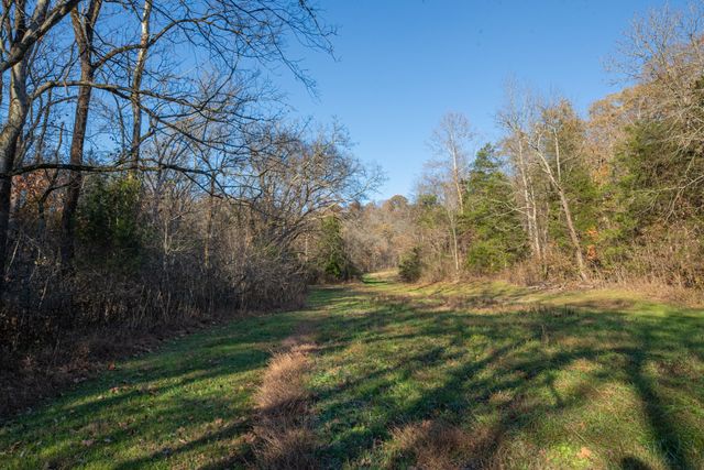 2031 Creecy Hollow Rd, Pulaski, TN 38478