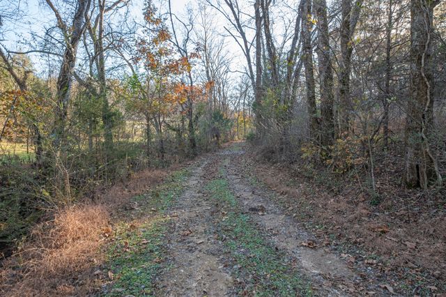 2031 Creecy Hollow Rd, Pulaski, TN 38478