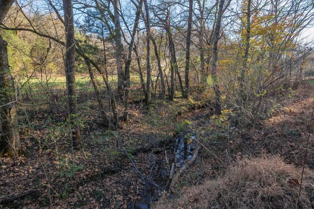 2031 Creecy Hollow Rd, Pulaski, TN 38478