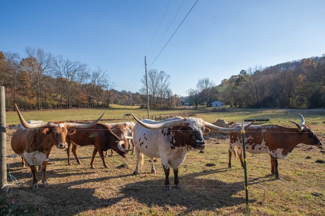 2031 Creecy Hollow Rd, Pulaski, TN 38478