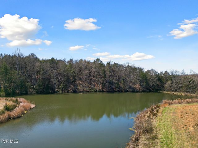 811 Grassy Creek Road, Greeneville, TN 37743