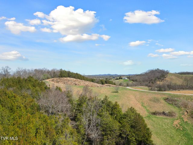 811 Grassy Creek Road, Greeneville, TN 37743