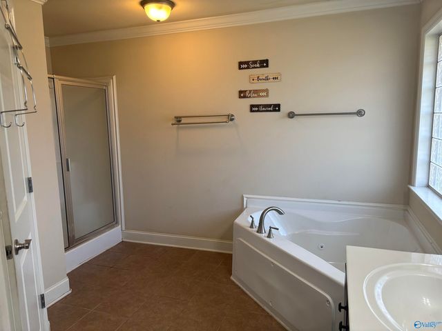 29831 Crockett Run Lane, Harvest, AL 35749