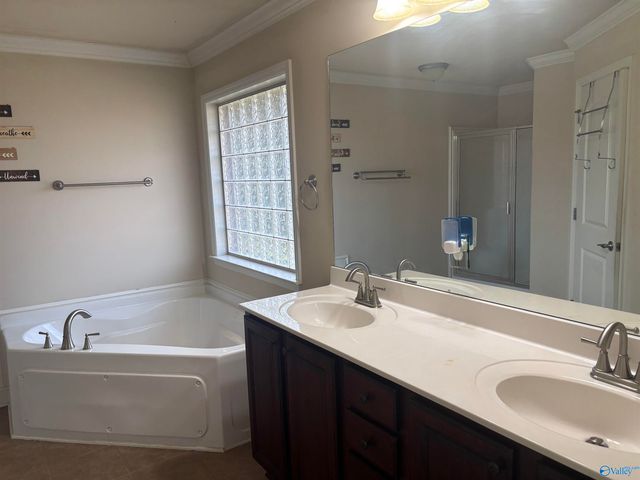 29831 Crockett Run Lane, Harvest, AL 35749