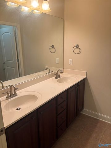 29831 Crockett Run Lane, Harvest, AL 35749