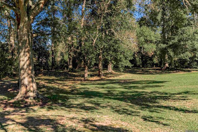 32810 Poplar Ct, Denham Springs, LA 70706