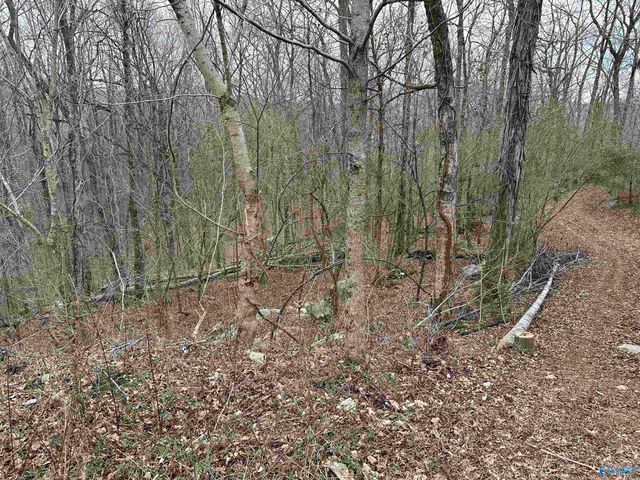 4621 Legacy Preserve Way SE, Brownsboro, AL 35741