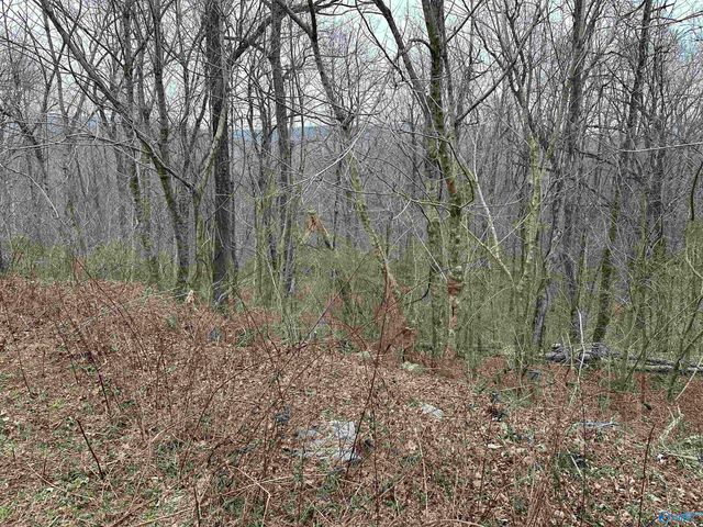 4621 Legacy Preserve Way SE, Brownsboro, AL 35741