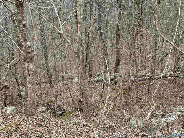 4621 Legacy Preserve Way SE, Brownsboro, AL 35741