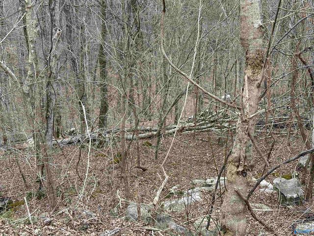 4621 Legacy Preserve Way SE, Brownsboro, AL 35741