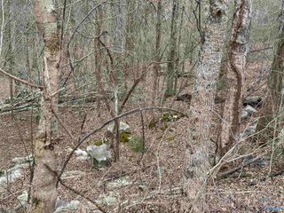 4621 Legacy Preserve Way SE, Brownsboro, AL 35741