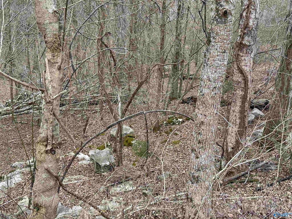 4621 Legacy Preserve Way SE, Brownsboro, AL 35741