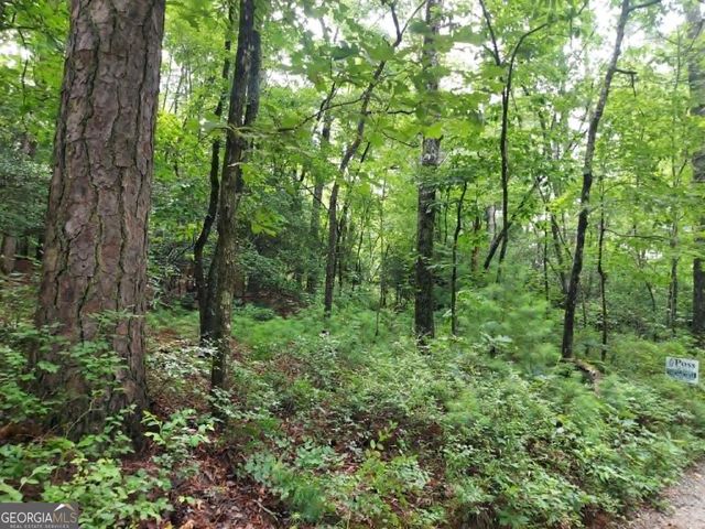 0 LOT 1A Wexford Way, Lakemont, GA 30552