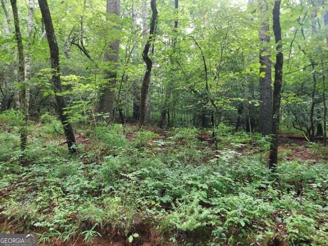0 LOT 1A Wexford Way, Lakemont, GA 30552