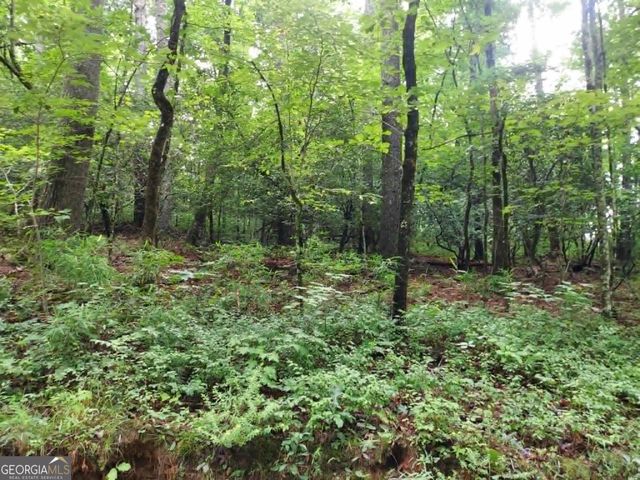 0 LOT 1A Wexford Way, Lakemont, GA 30552