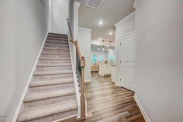 300 Garden Vine Trail, Raleigh, NC 27610