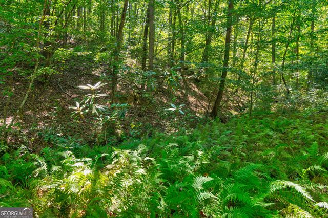 434 Mill Creek Drive, Dawsonville, GA 30534