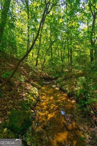 434 Mill Creek Drive, Dawsonville, GA 30534