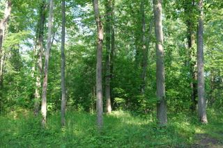 0 Willis Road, Ypsilanti, MI 48197