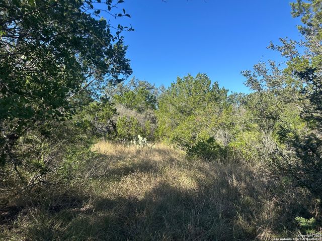 111 Private Road 3325, Concan, TX 78838