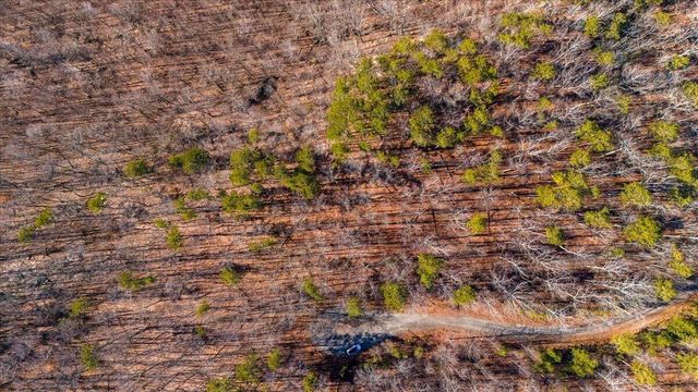 0 Old Harris Turnpike Road, South Pittsburg, TN 37380