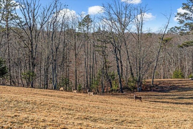 0 Old Harris Turnpike Road, South Pittsburg, TN 37380